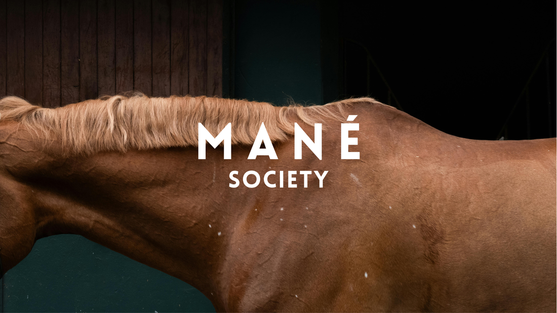 The First Chapter in Our Hair Story